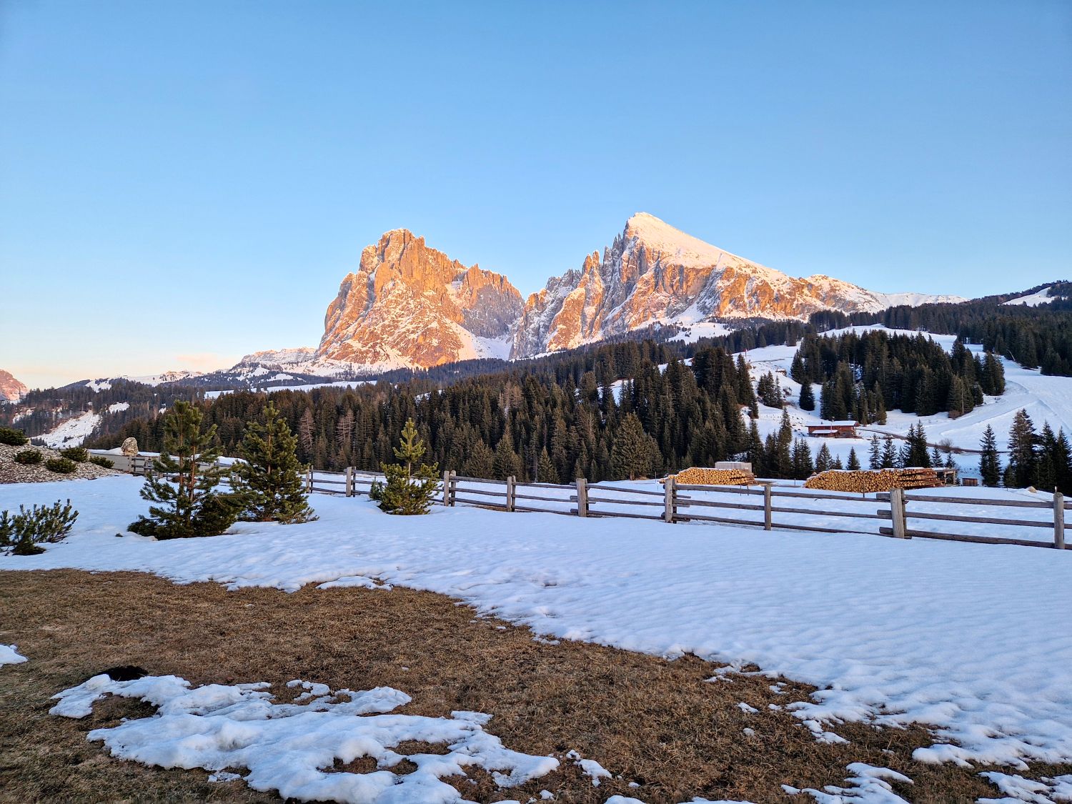 Dolomites in Winter: Weather, Skiing, Hiking, and more 8 Snow covered Alpe di Siusi from Hotel Brunelle with the Sassolungo Group glowing in warm alpenglow. The March landscape shows how winter conditions can vary in the Dolomites, with lingering snow at higher elevations while lower areas may be warmer and largely snow free.