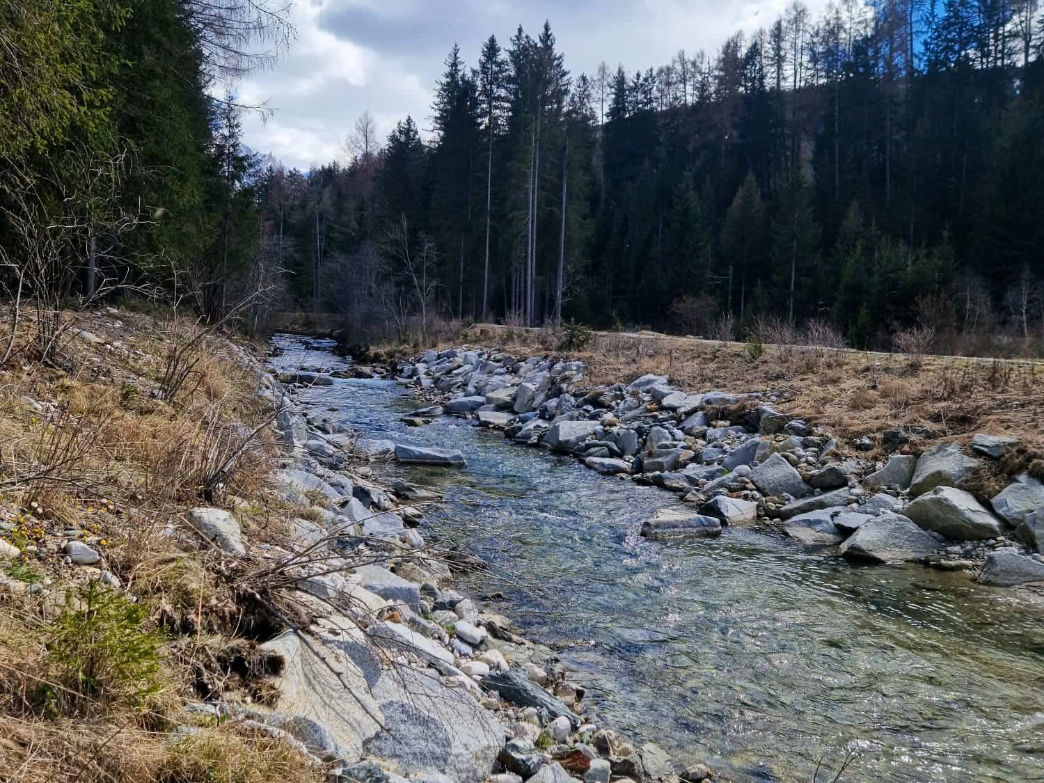 Dolomites In April: Perfect 2-Day Itinerary + What To Expect 17 A rocky stream flows through a forested area with tall coniferous trees and a cloudy sky. The water reflects a variety of shades, and the landscape shows brown and green tones, indicating a natural, tranquil setting.