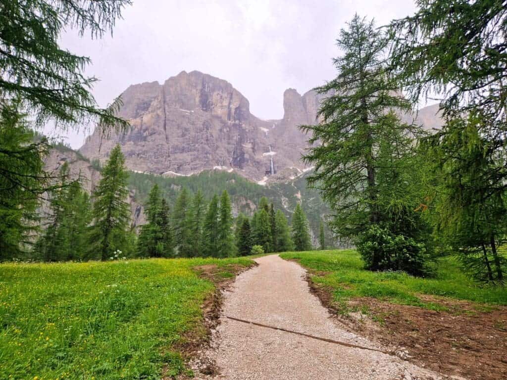 A gravel path leads through a grassy meadow dotted with yellow flowers, flanked by green trees. Towering mountains rise in the background under a cloudy sky.
