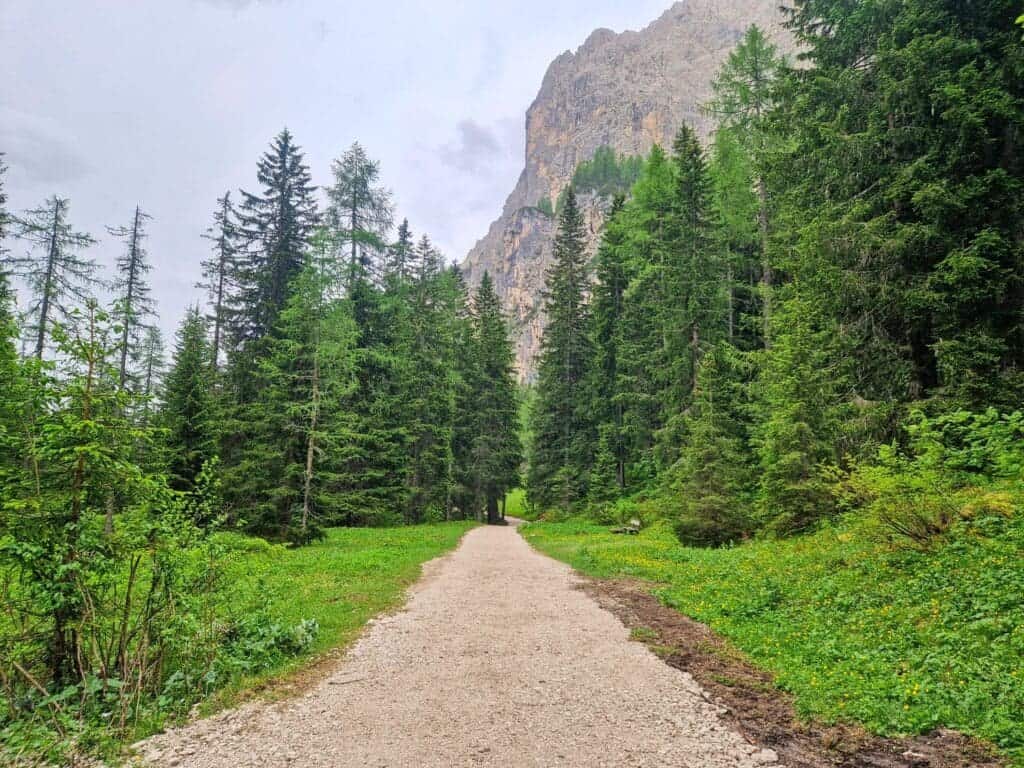 A dirt path winds through a lush green forest with tall evergreen trees on either side. A mountain is visible in the background under a cloudy sky. The scene is serene and natural, suggesting a hiking trail.