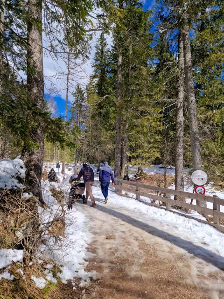 Dolomites In April: Perfect 2-Day Itinerary + What To Expect 17 People walking on a snowy path through a forest with tall trees on a sunny day. Some snow covers the ground and branches. A wooden fence lines the path, and a sign is visible. The sky is blue with a few clouds.