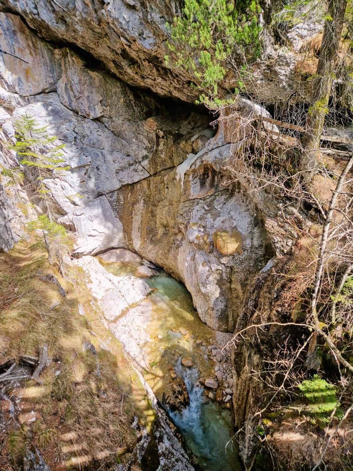 Dolomites In April: Perfect 2-Day Itinerary + What To Expect 39 A narrow rocky canyon with a small stream flowing through it. Sunlight highlights the clear water and the textured rock walls. Sparse vegetation grows on the canyon edges, including some evergreen branches in the foreground.