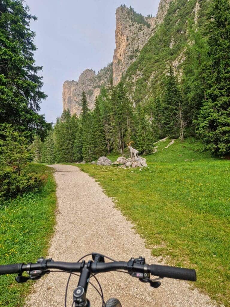 A gravel path leads through a lush forest with pine trees, heading towards towering rocky cliffs. A mountain bike handlebar is visible in the foreground, suggesting a biking perspective. The sky is overcast, adding a soft light to the scene.