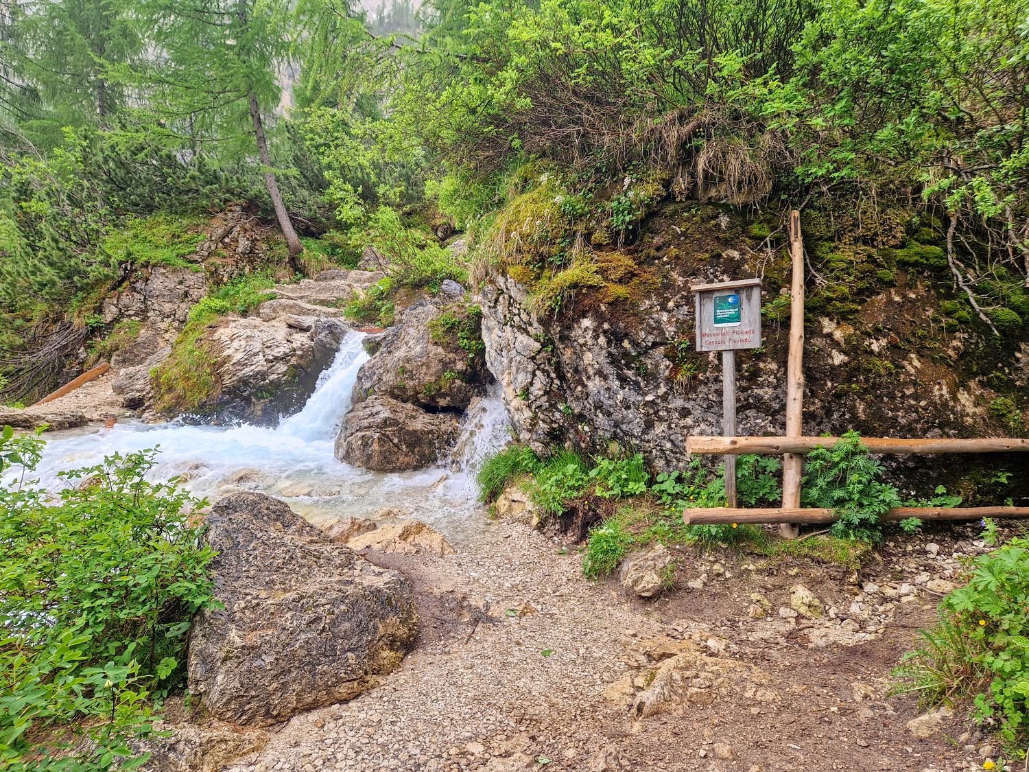 Hiking To The Cascate Del Pisciadù In The Dolomites: Plus a Surprise Waterfall! 18 A scenic forest trail with a rocky path beside a rushing stream. Lush green plants and trees surround the area, and a wooden fence with a sign marks the trail near the water’s edge.