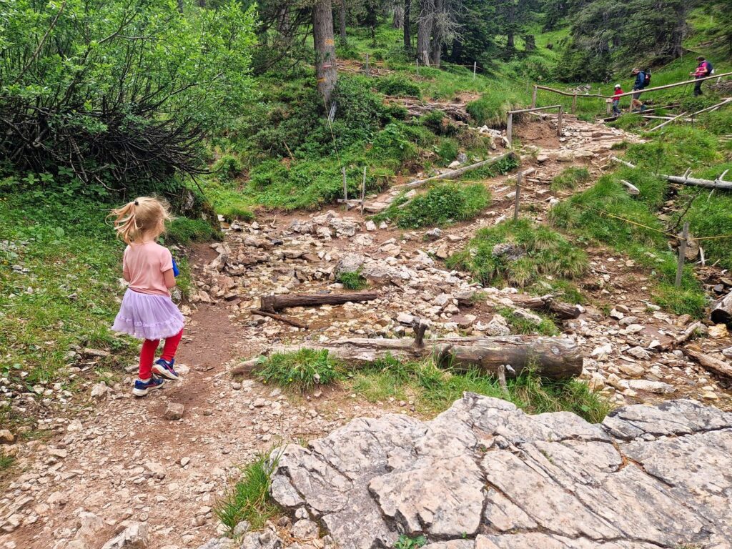 Cinema delle Odle and Adolf Munkel Trail: An Epic Hike 18 A young girl in a pink outfit walks along a rocky, uneven forest trail surrounded by greenery, with more people visible in the distance up the path.