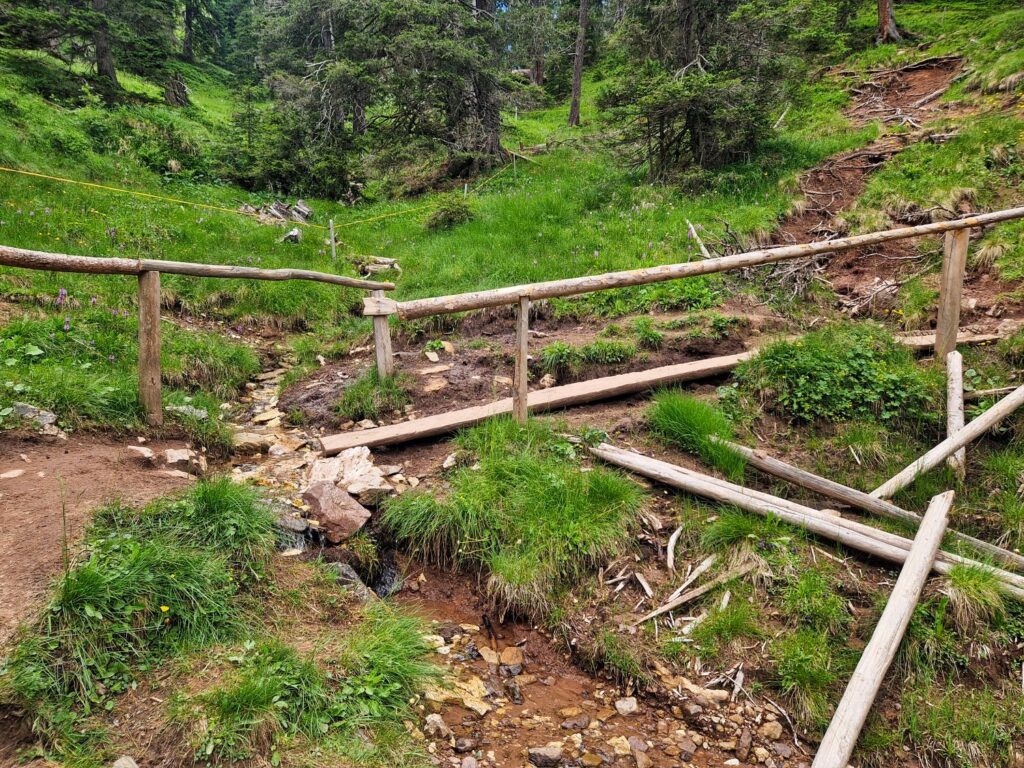 Cinema delle Odle and Adolf Munkel Trail: An Epic Hike 17 A rustic wooden footbridge with handrails crosses a small stream in a grassy, forested area. The surrounding ground is uneven, with patches of dirt, rocks, and wildflowers. Trees and greenery fill the background.