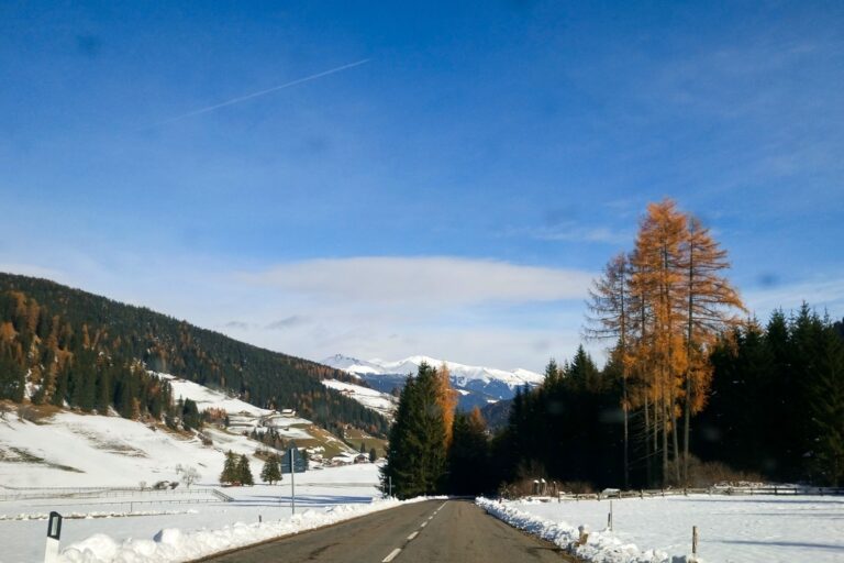 A paved road leads into snowy mountains, flanked by evergreen and orange autumn trees under a clear blue sky. Snow covers the fields and hills, and distant peaks are visible.