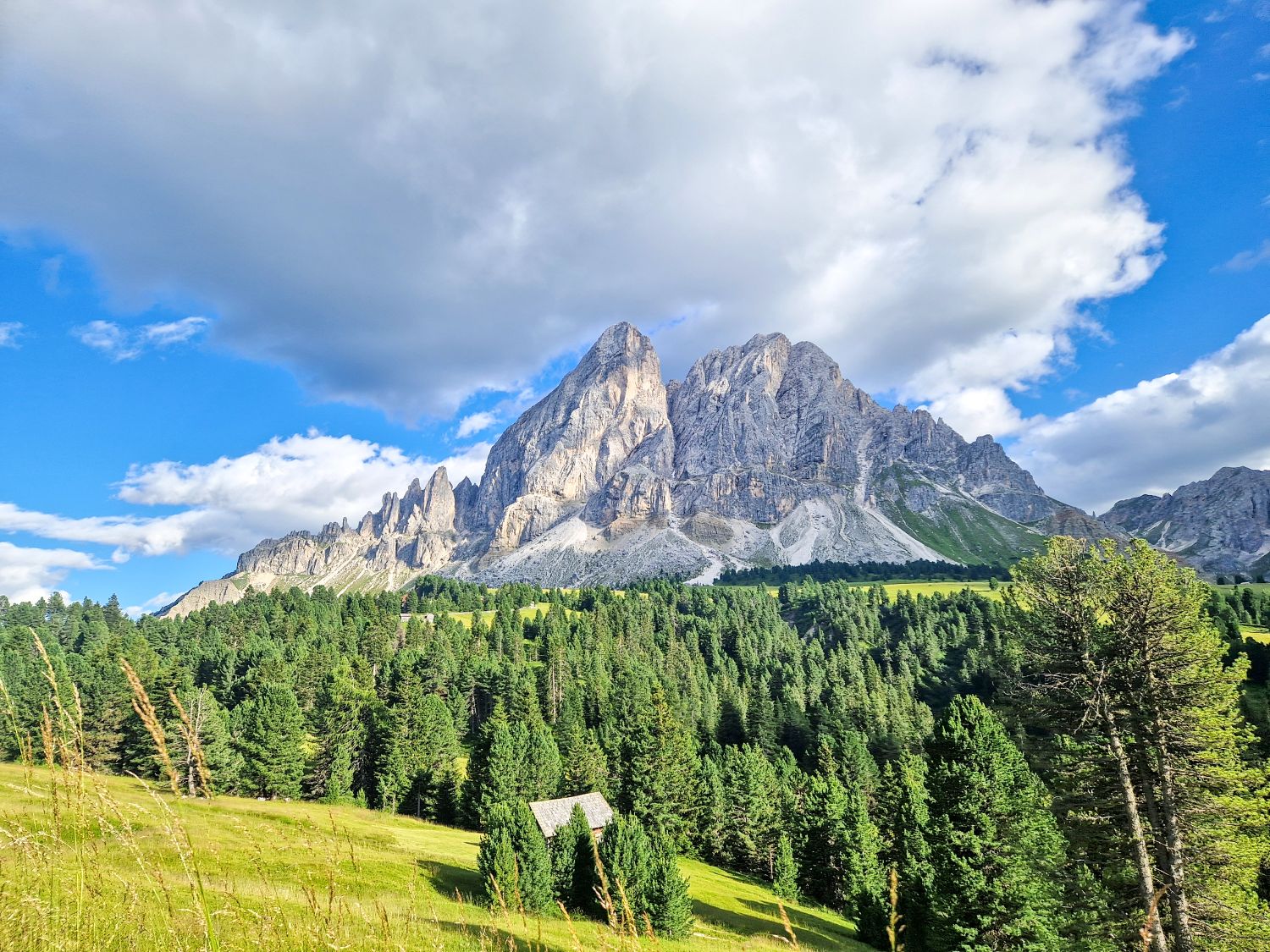 Things To Do In The Dolomites In Winter: Ski And No Ski 15 A dramatic mountain peak rises above a dense green forest and grassy meadow under a blue sky with scattered clouds. A small building is partially visible among the trees in the foreground.