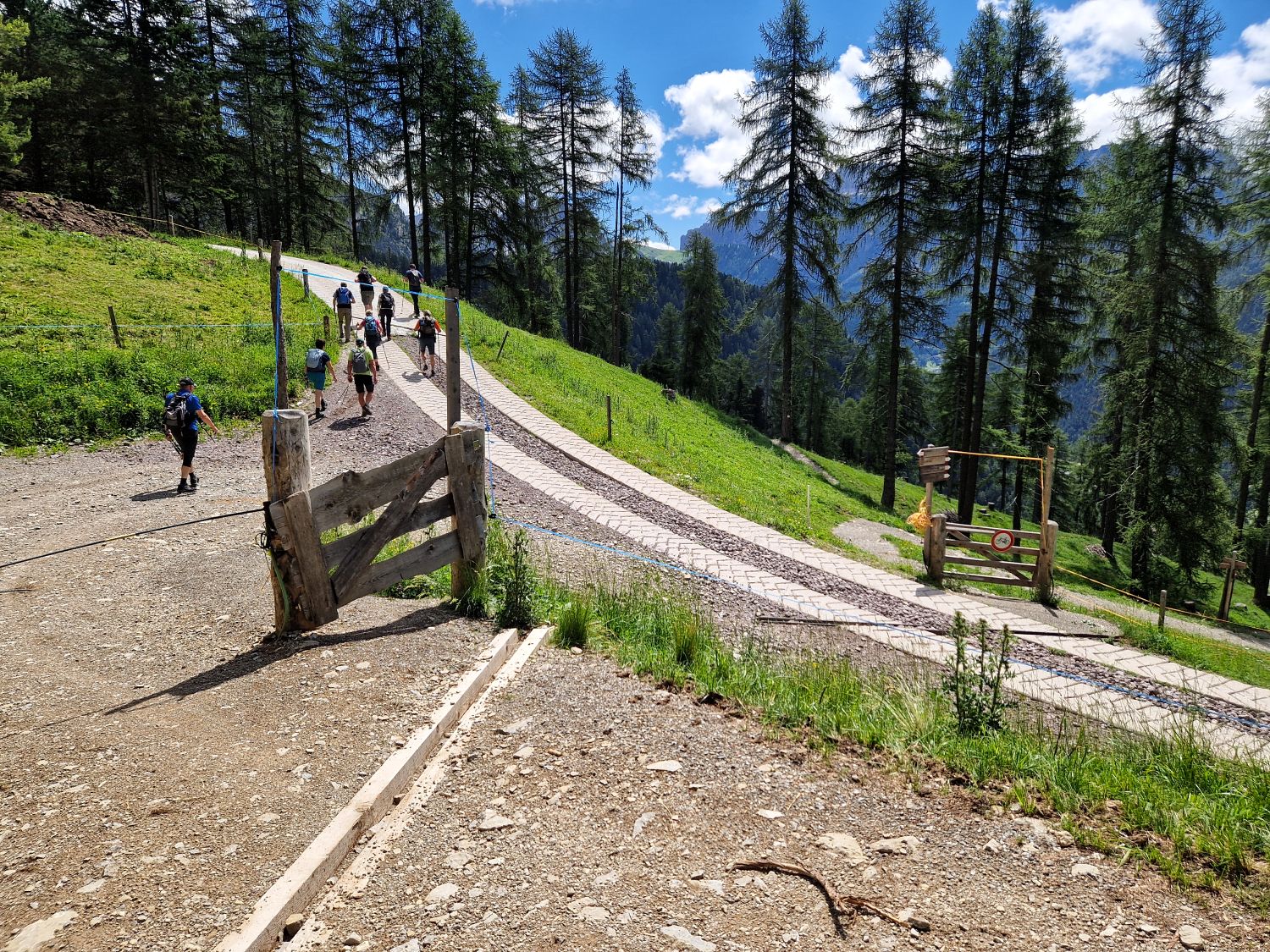 Hikers follow a wide gravel trail uphill through green alpine meadows and tall larch trees on the Monte Pic hike in Val Gardena. Wooden gates and fencing mark the path as the route climbs toward Baita Seurasas with mountain views opening through the trees.
